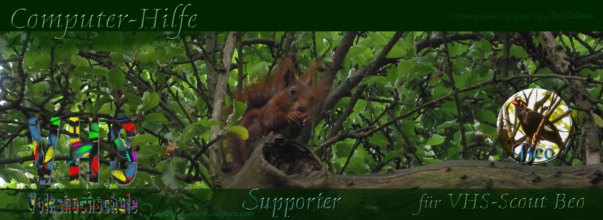 Supporter squirrel for Scout Beo