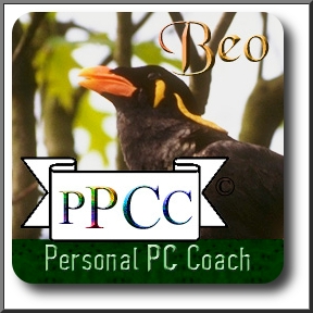 Beo Personal PC Coach