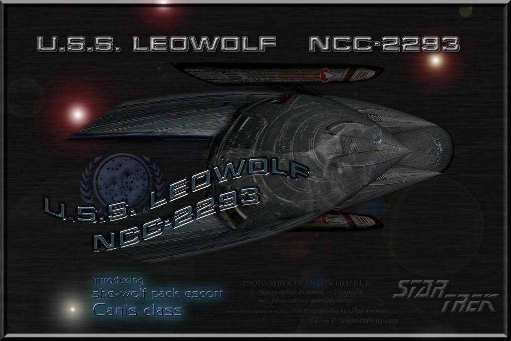U.S.S. LEOWOLF NCC-2293