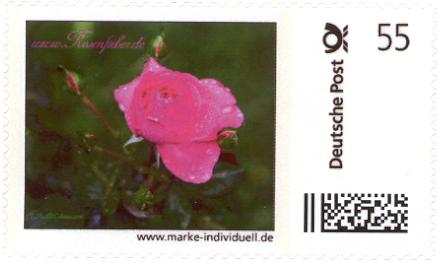 1 aus Deutsche Post Marke individuell Bogen Unikat Oktober 2010 Rose rosa 1302