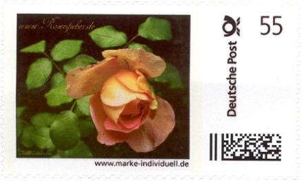 1 aus Deutsche Post Marke individuell Bogen Unikat Oktober 2010 Rose orange 879
