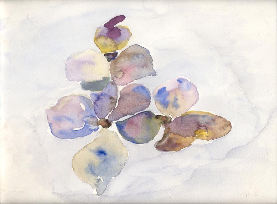 Aquarell-Blten in Blau / Aquarelle blooms in blue / Fleurs aquarelle en bleu     von / by / de   M.H.K.