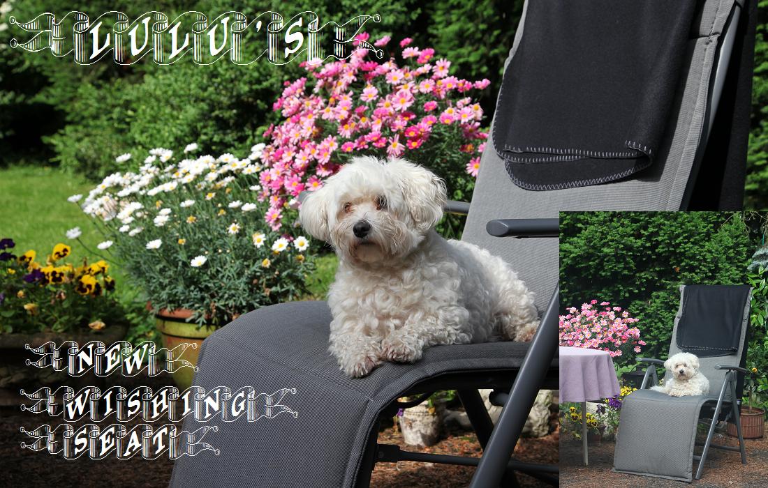 ...beste Sicht...bester Platz...alles cool...! simply Lulu's new wishing seat