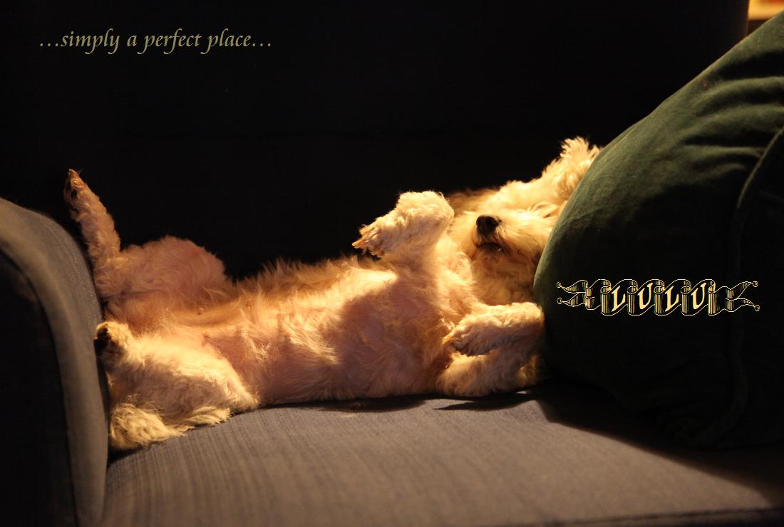 LuLu: ...simply a perfect place...!