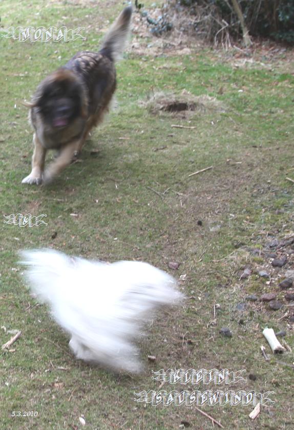 Fangen spielen ist super!