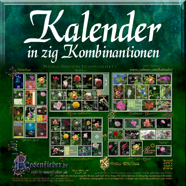 Kalender-Editionen