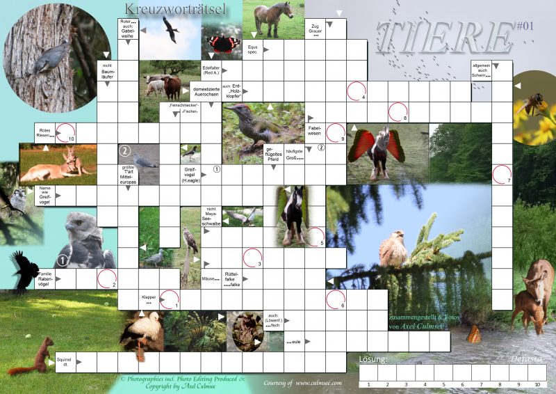 Tiere-Rätsel Edition 01 – webLog by Axel Culmsee