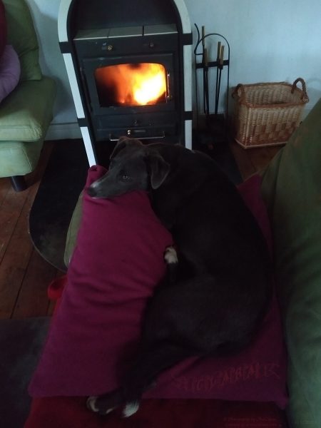 Clara, 6 months, has discovered stove's warmness