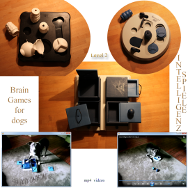 Clara beim Intelligenz-Spiel