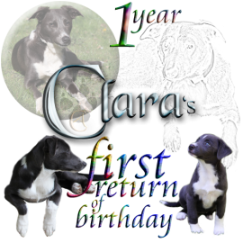 Clara's first birthday