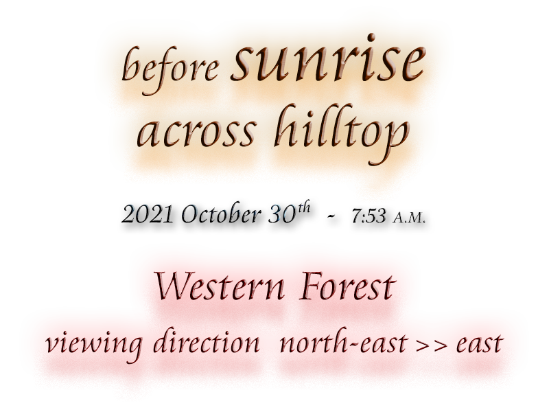 before sunrise Western Forest hilltop Petreslahr viewing direction north-east