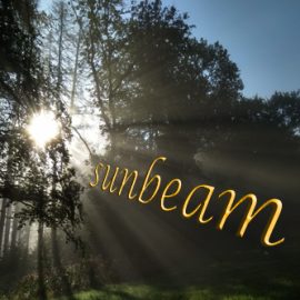 Ray of Sunlight