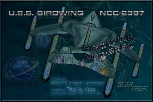 BIRDWING NCC-2387